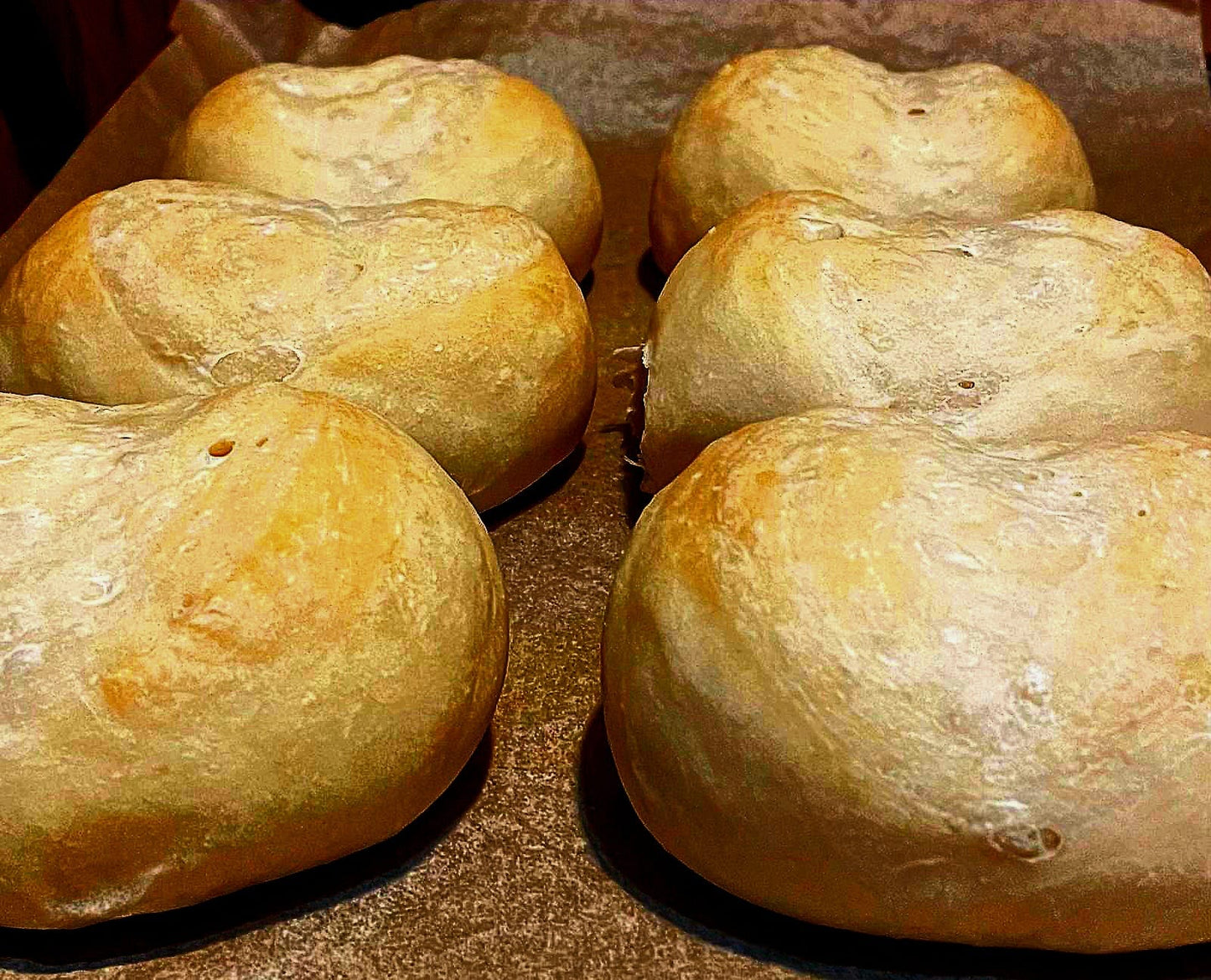 Plain Crispy Buns