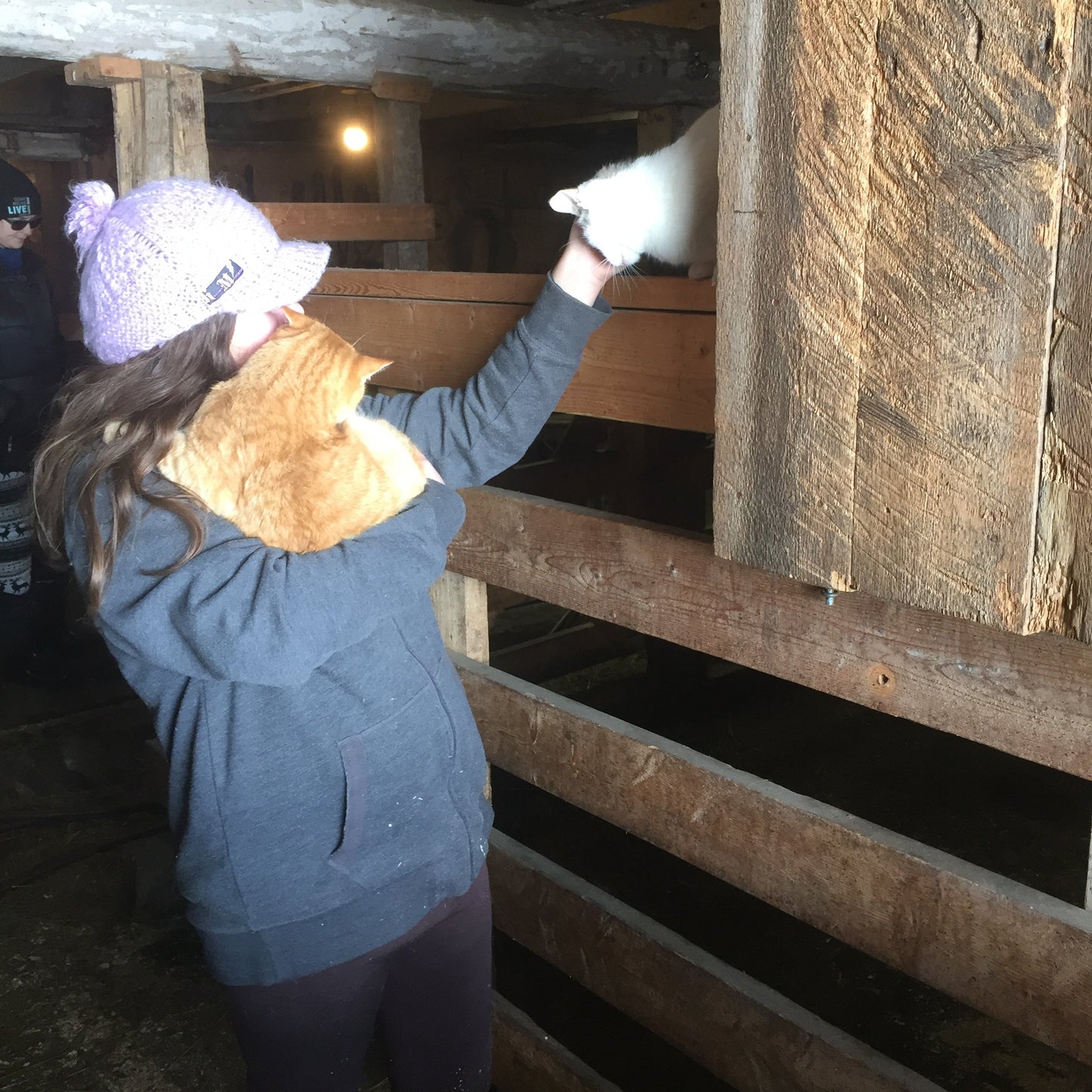 Equine Assisted Learning