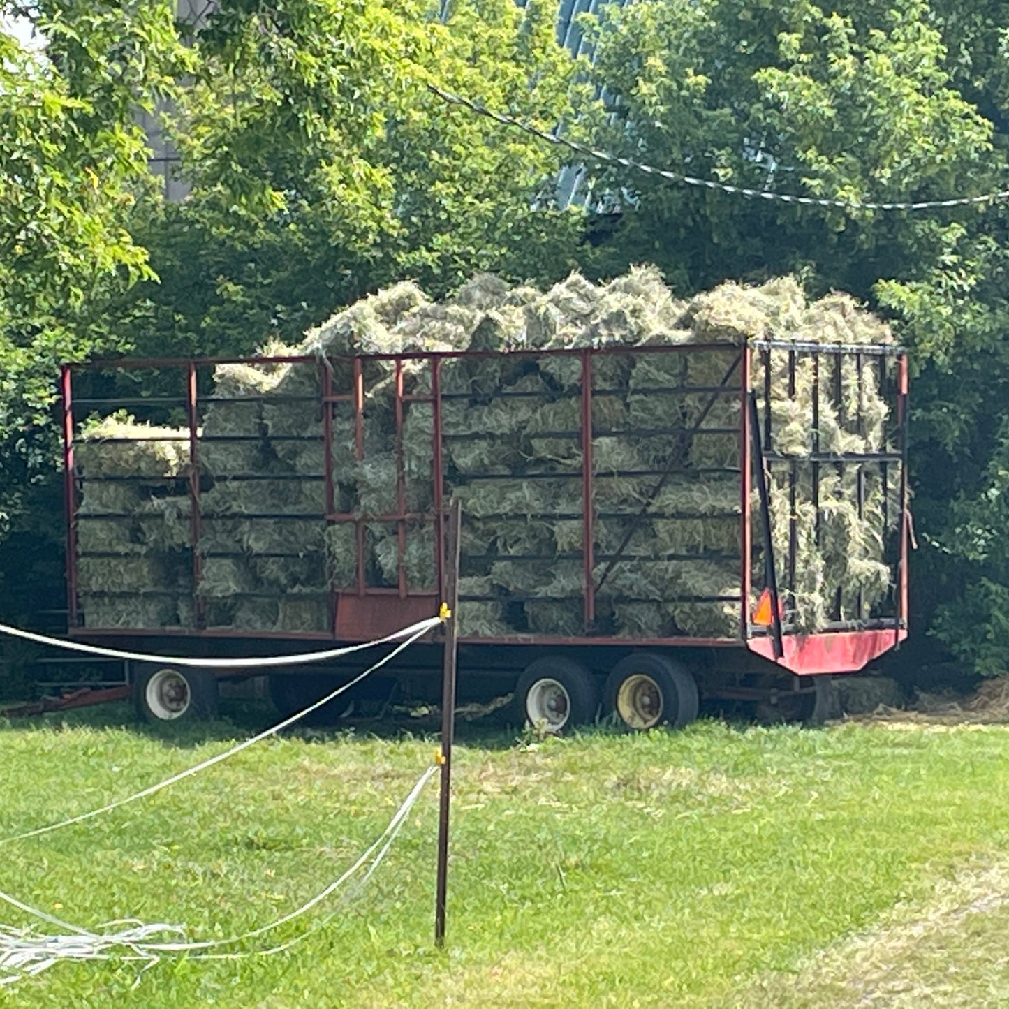 Gift of Hay