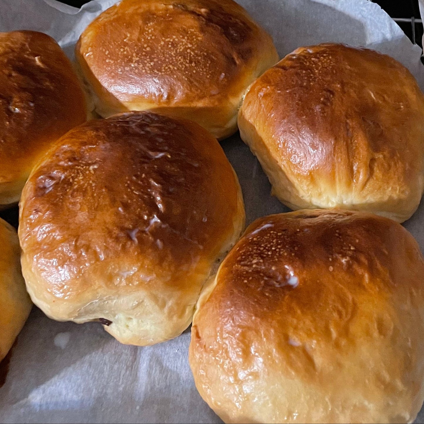 Plain Milk Buns