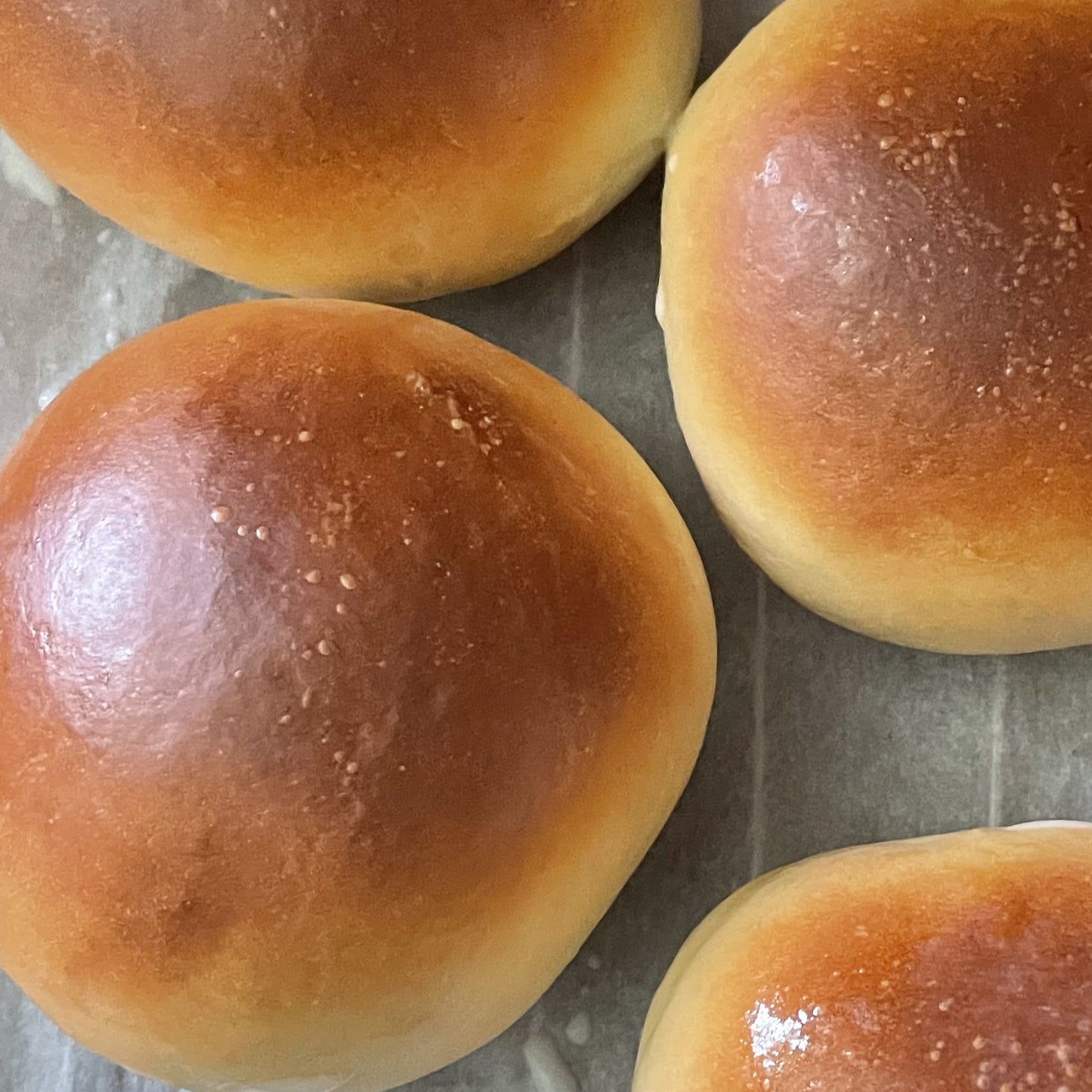 Plain Milk Buns