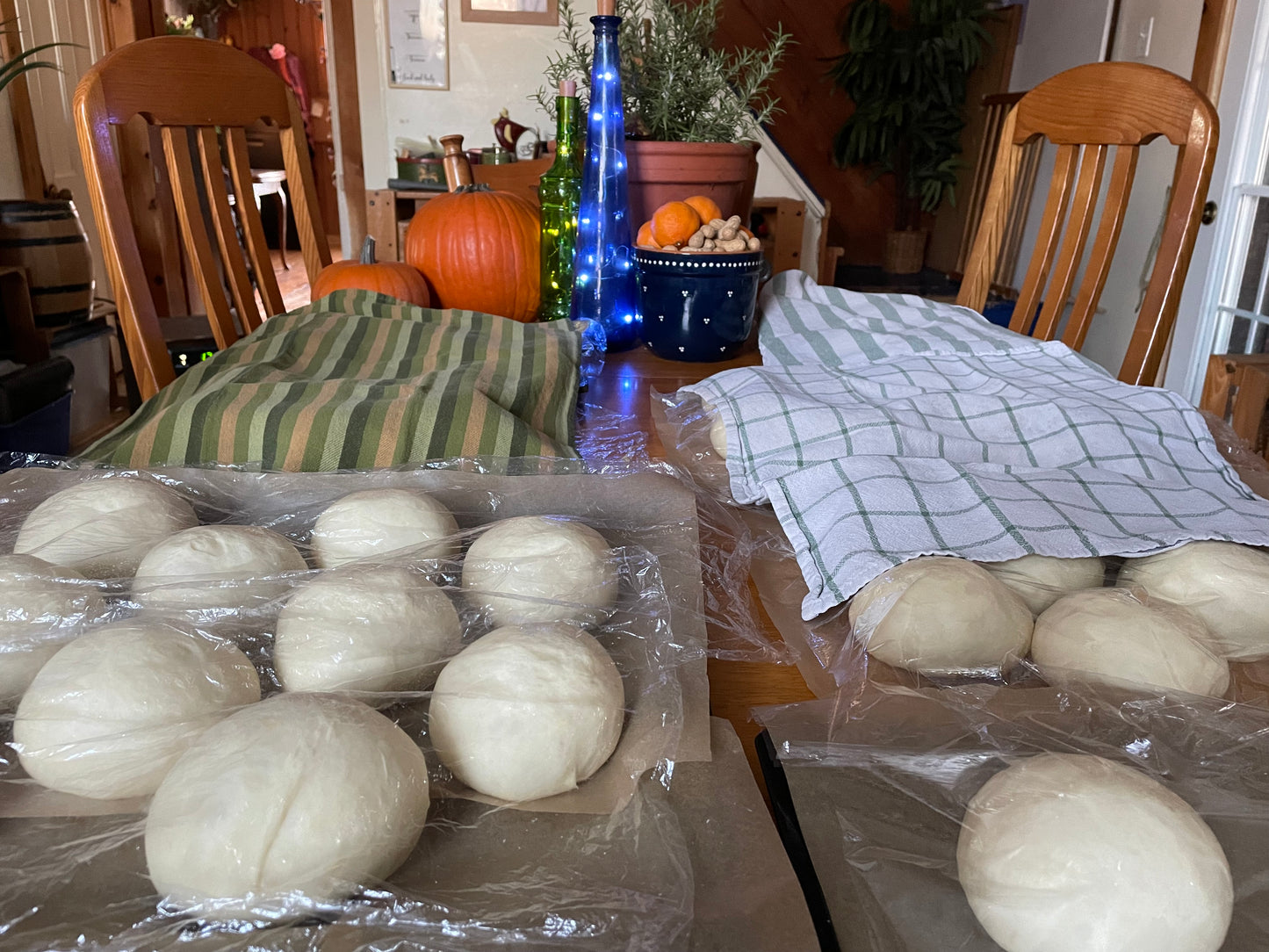 Plain Milk Buns