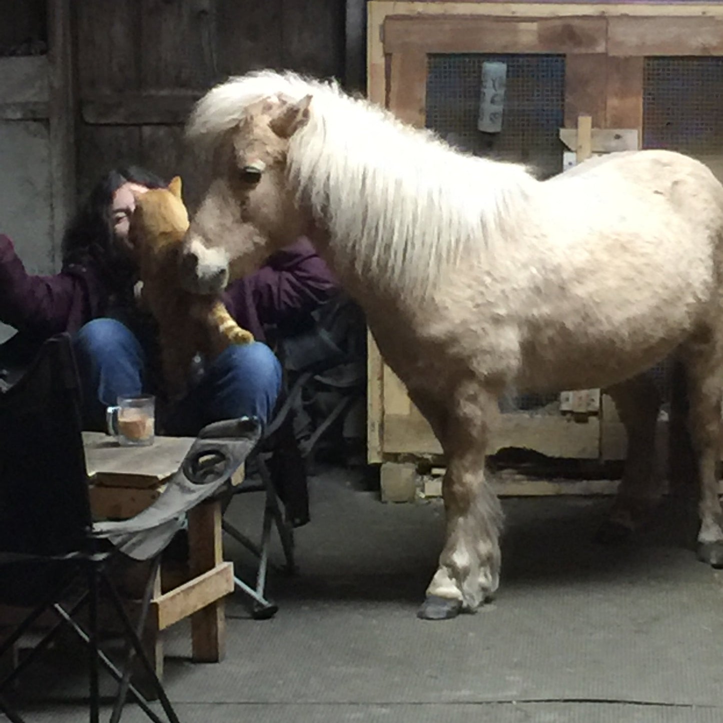Equine Assisted Learning
