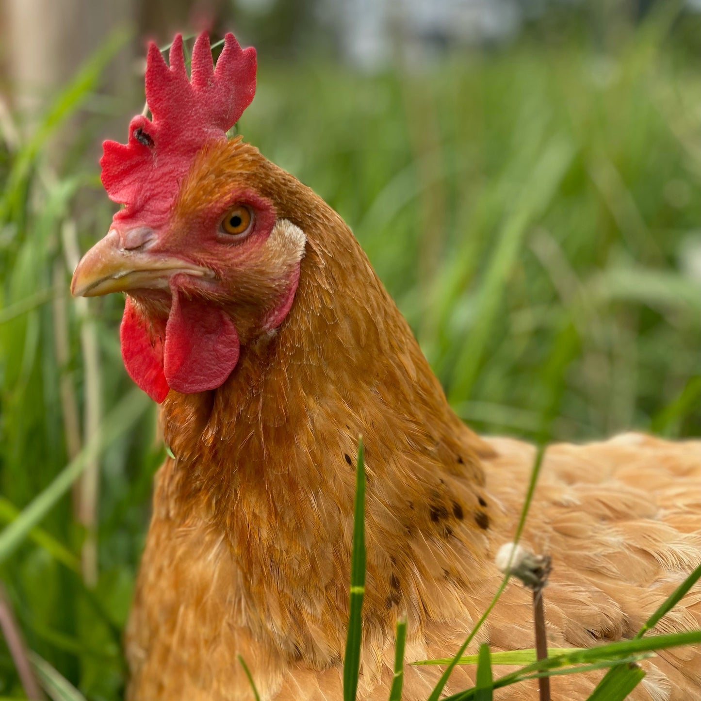 Personalized Farm Tours