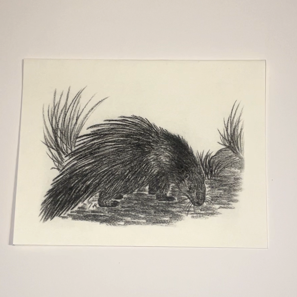Greeting Cards
