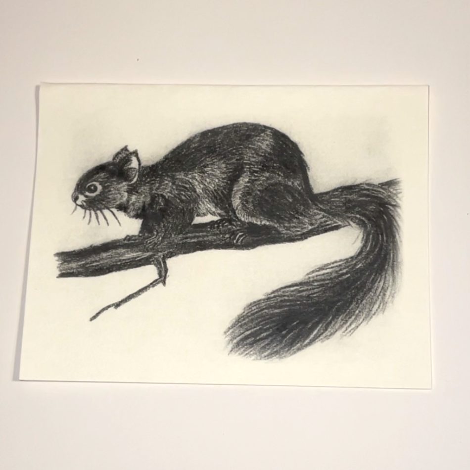 Greeting Cards