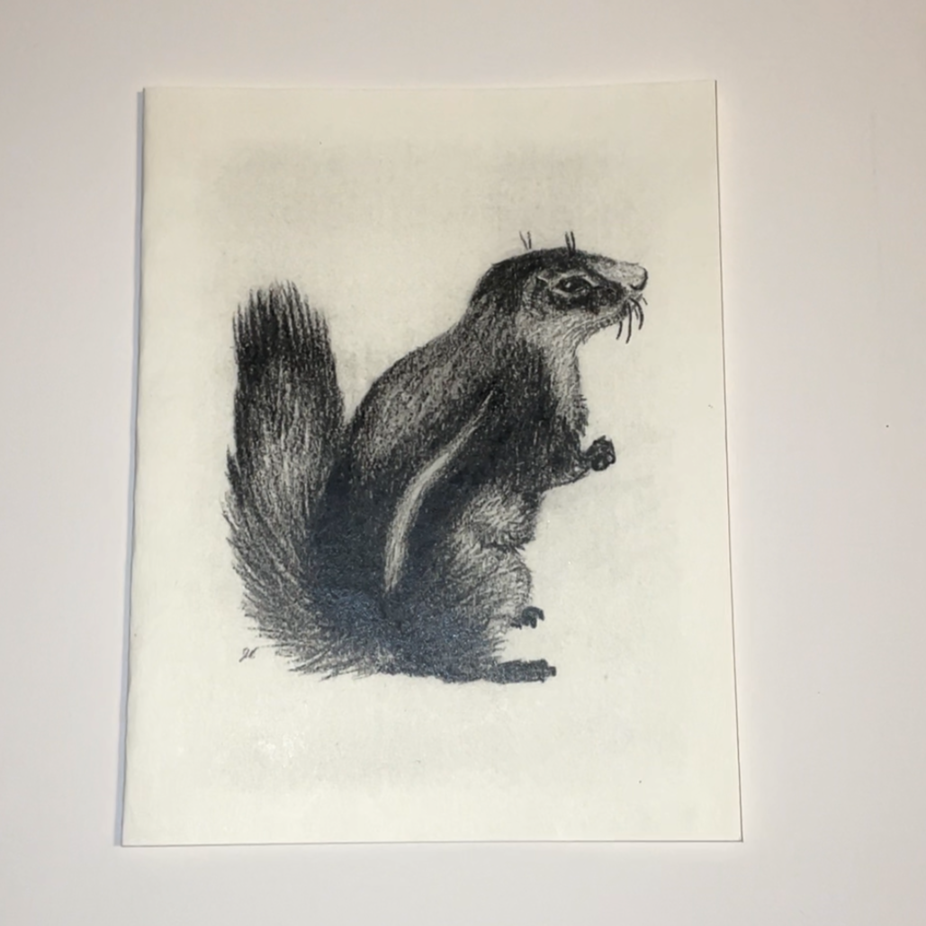 Greeting Cards