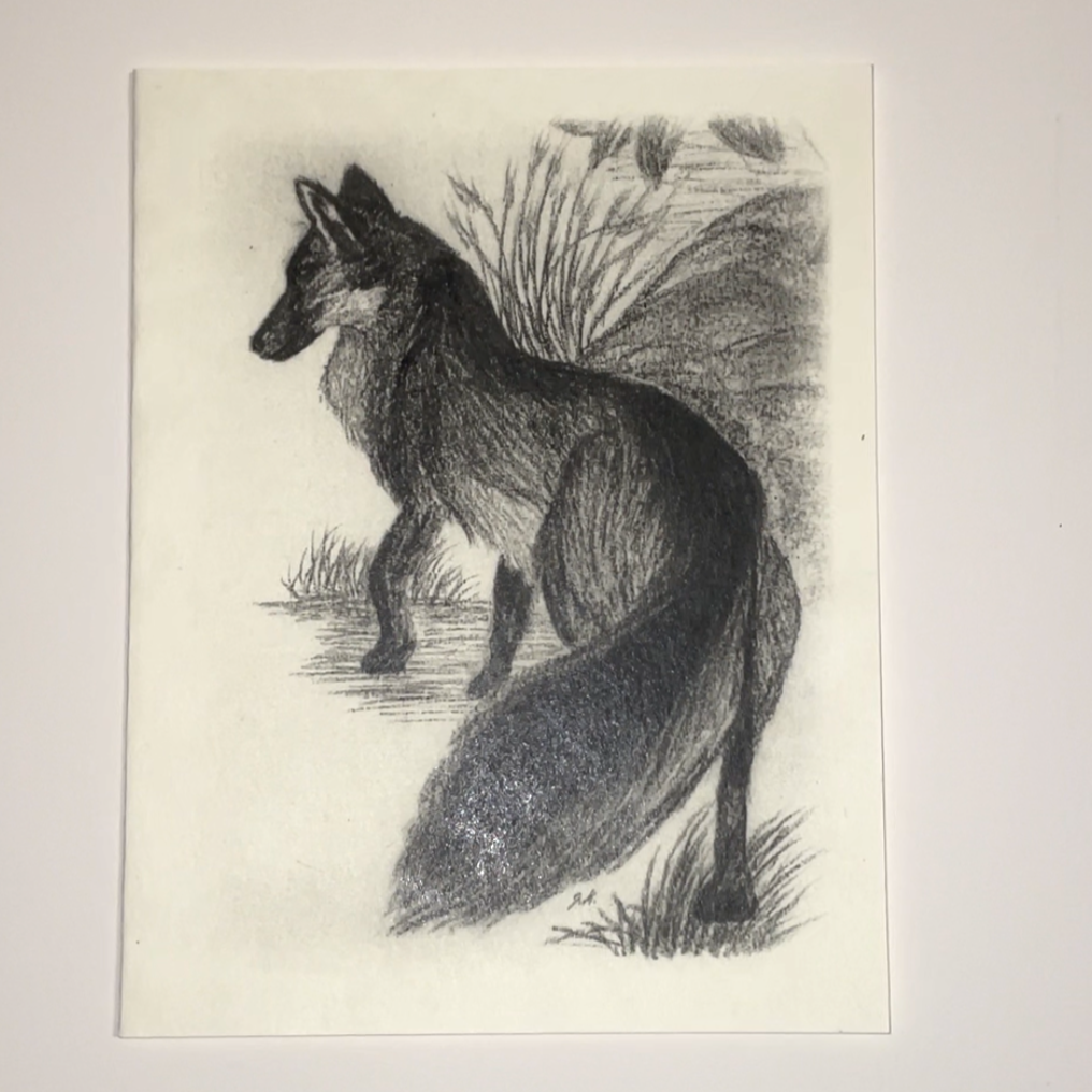 Greeting Cards