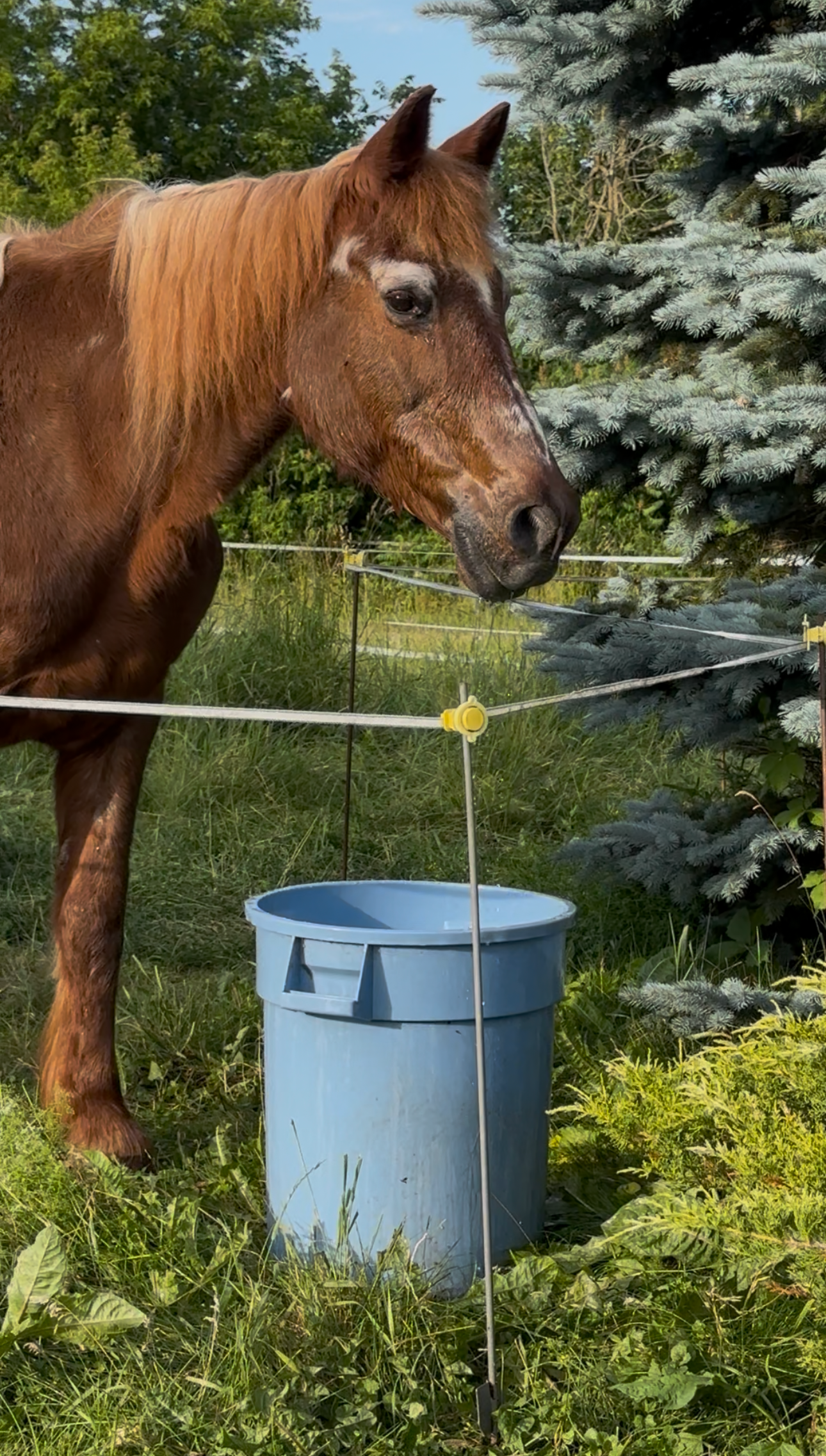 Personalized Farm Tours