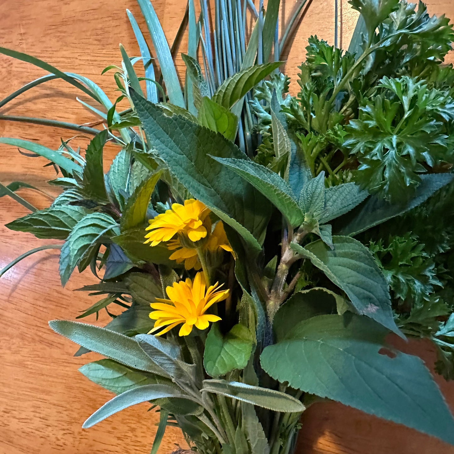 Mixed herbs