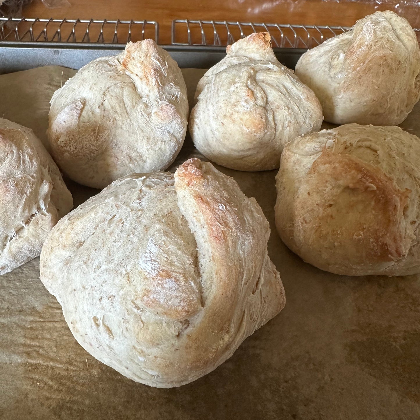 Grandfather Buns (whole wheat mix)