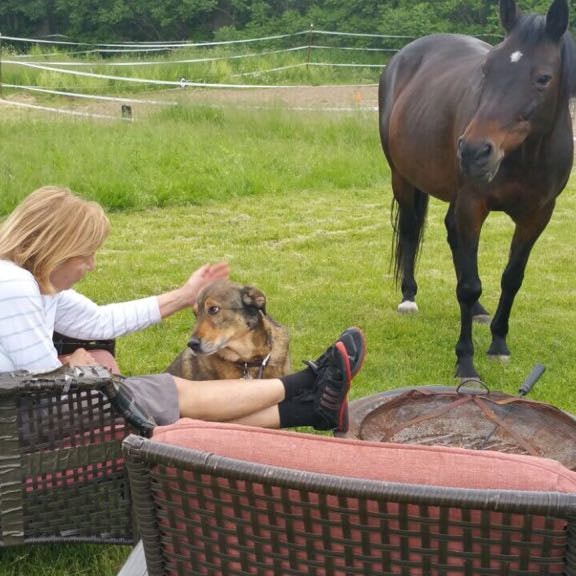 Equine Assisted Learning