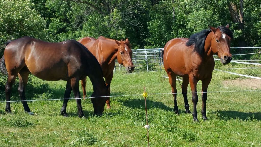 Personalized Farm Tours